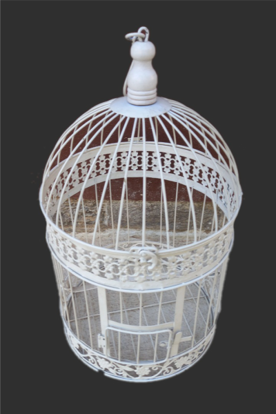 bird-cage