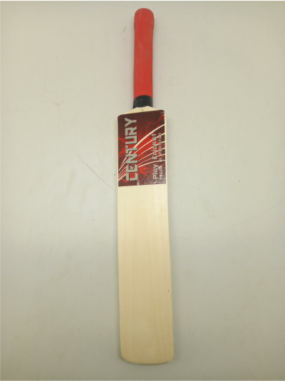 mini-cricket-bat