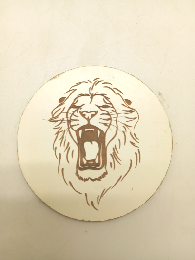 lion-coaster