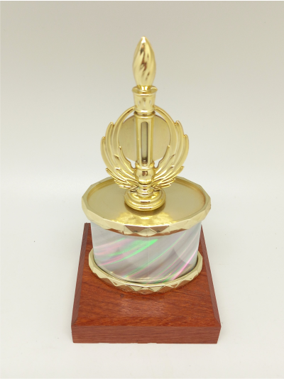 trophy-silver-oval-pole