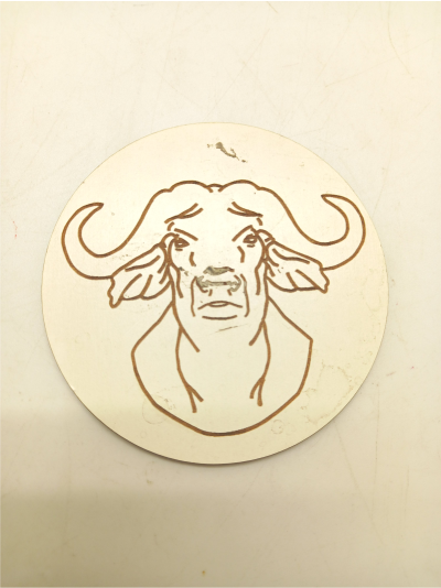 buffalo-coaster