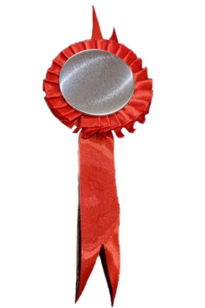 pin6