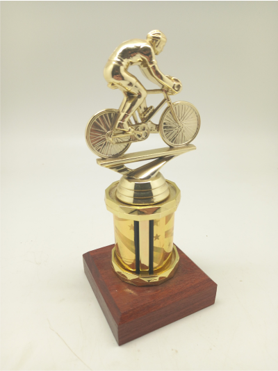 bike-riding-trophy