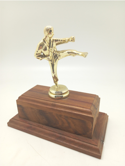 karate-trophy