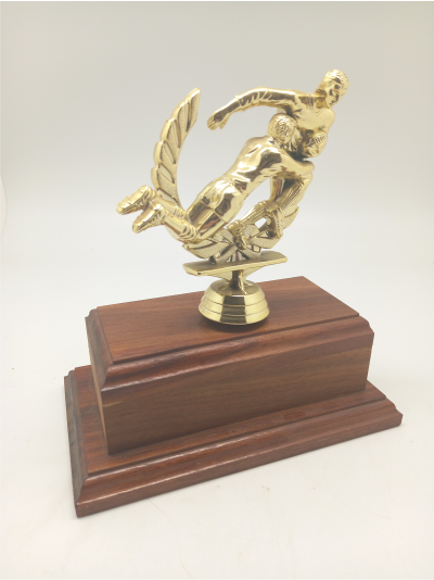 rugby-tackle-trophy